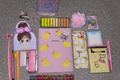Spring junior journal bundle