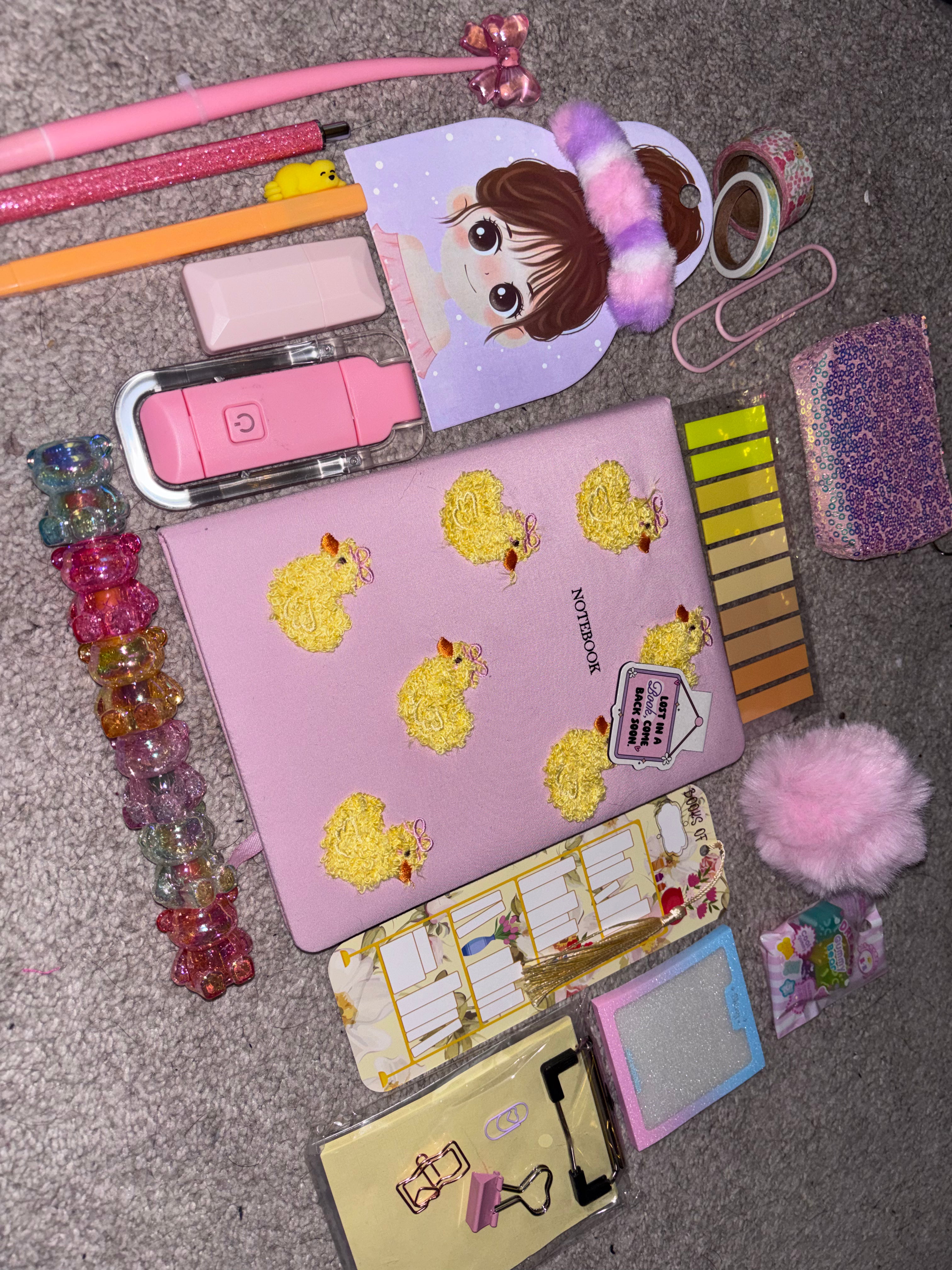 Spring junior journal bundle